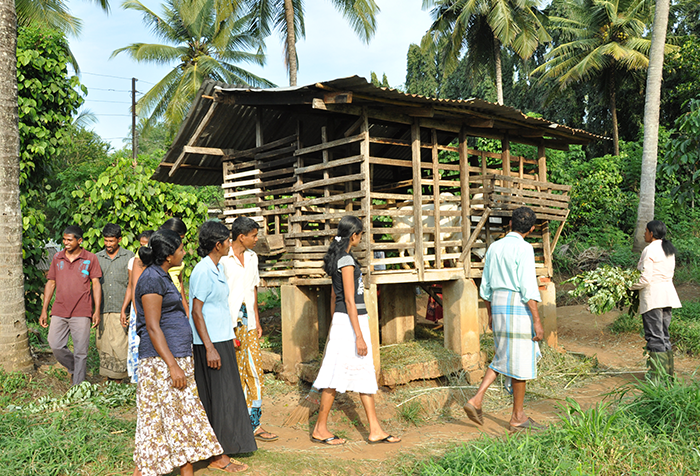 Beligama Farm