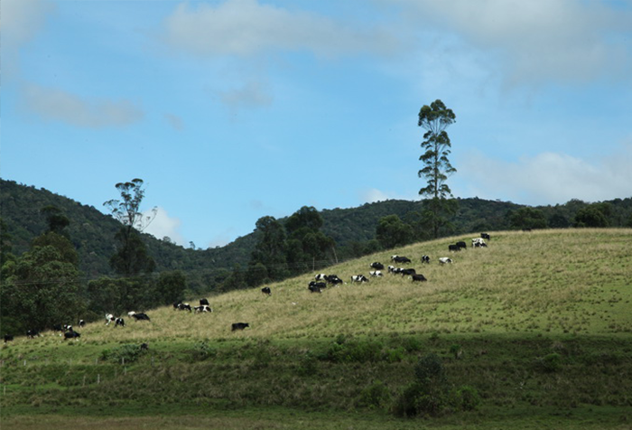 Bopaththalawa