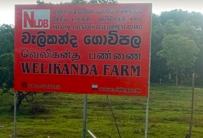 welikanda Farm
